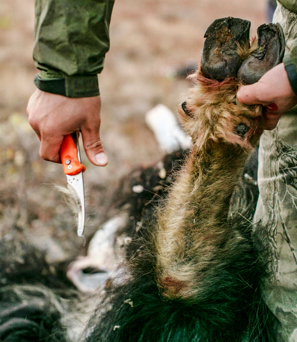 GREENLAND MUSK OX HUNT
