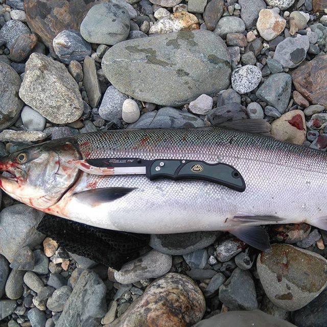 Blog-National Hunting Day is Tomorrow!-Outdoor Edge