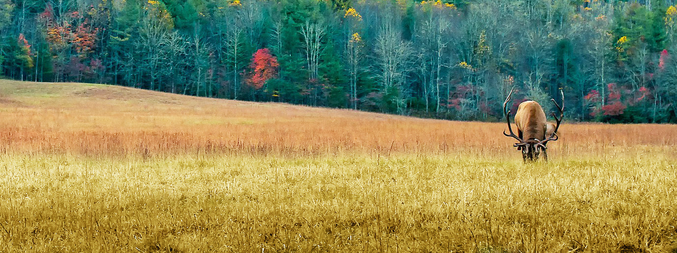 The Outdoor Edge LeDuck multi-purpose outdoor knife with its distinctive duck-head-shaped handle and Blackstone coated blade, shown next to its black rotating sheath on a weathered wood surface
