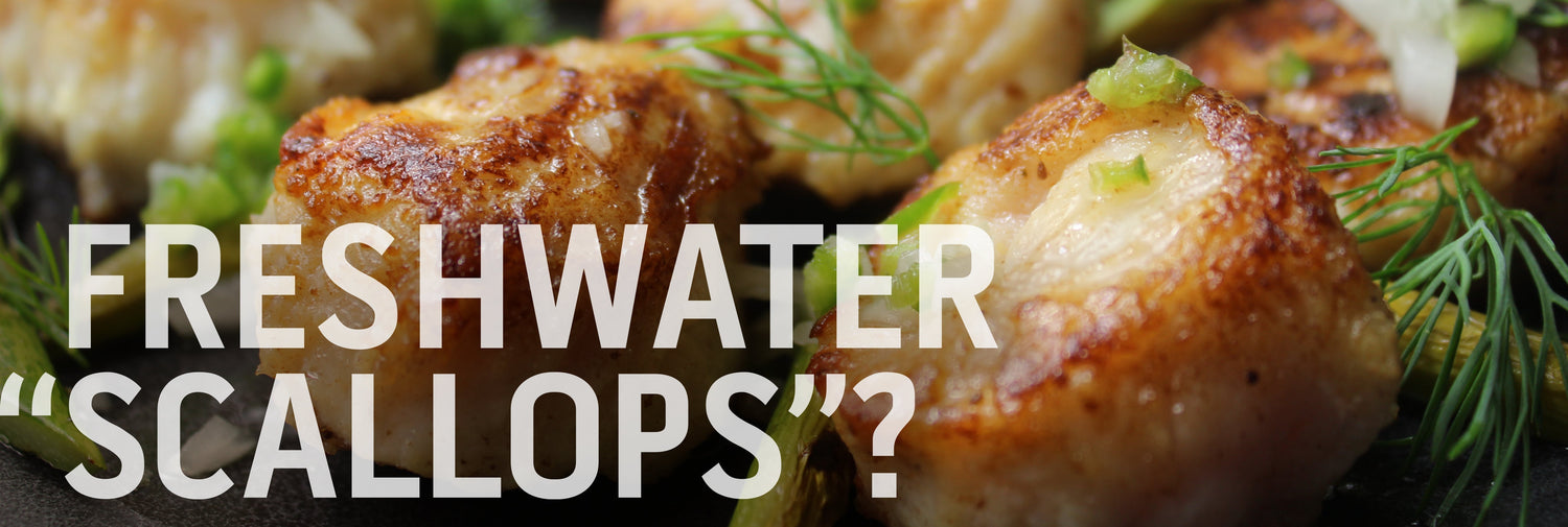 A recipe banner for "Freshwater 'Scallops'?" over a close-up of pan-seared pieces of fish