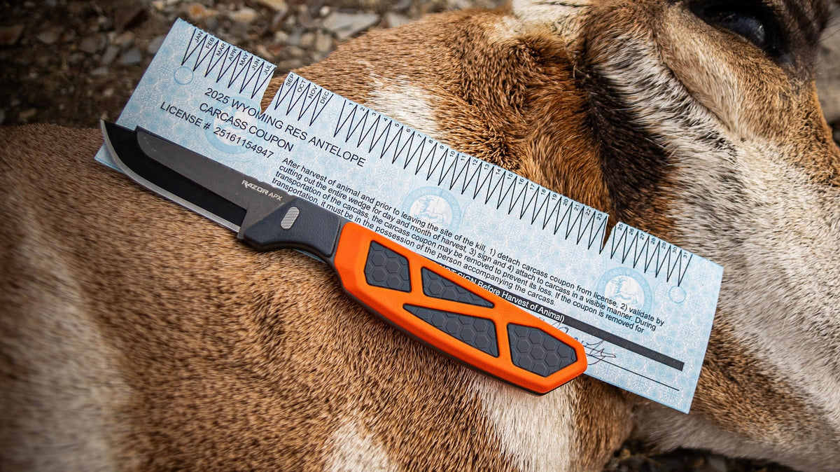 RazorSafe Cost Over Time