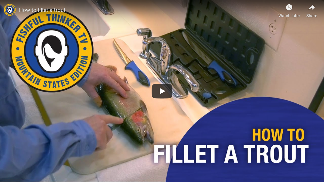 A video thumbnail from Fishful Thinker TV showing how to fillet a trout, with an Outdoor Edge ReelFlex knife and Pak visible on the table