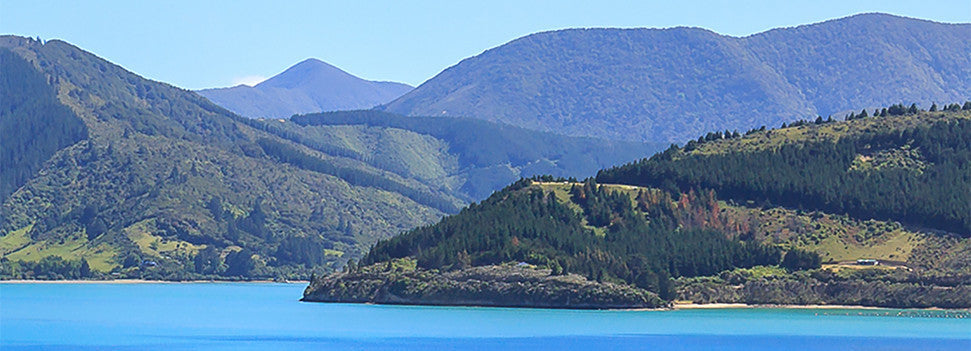 A scenic landscape with calm, blue water in the foreground, and green, lush mountains and hills under a clear blue sky.