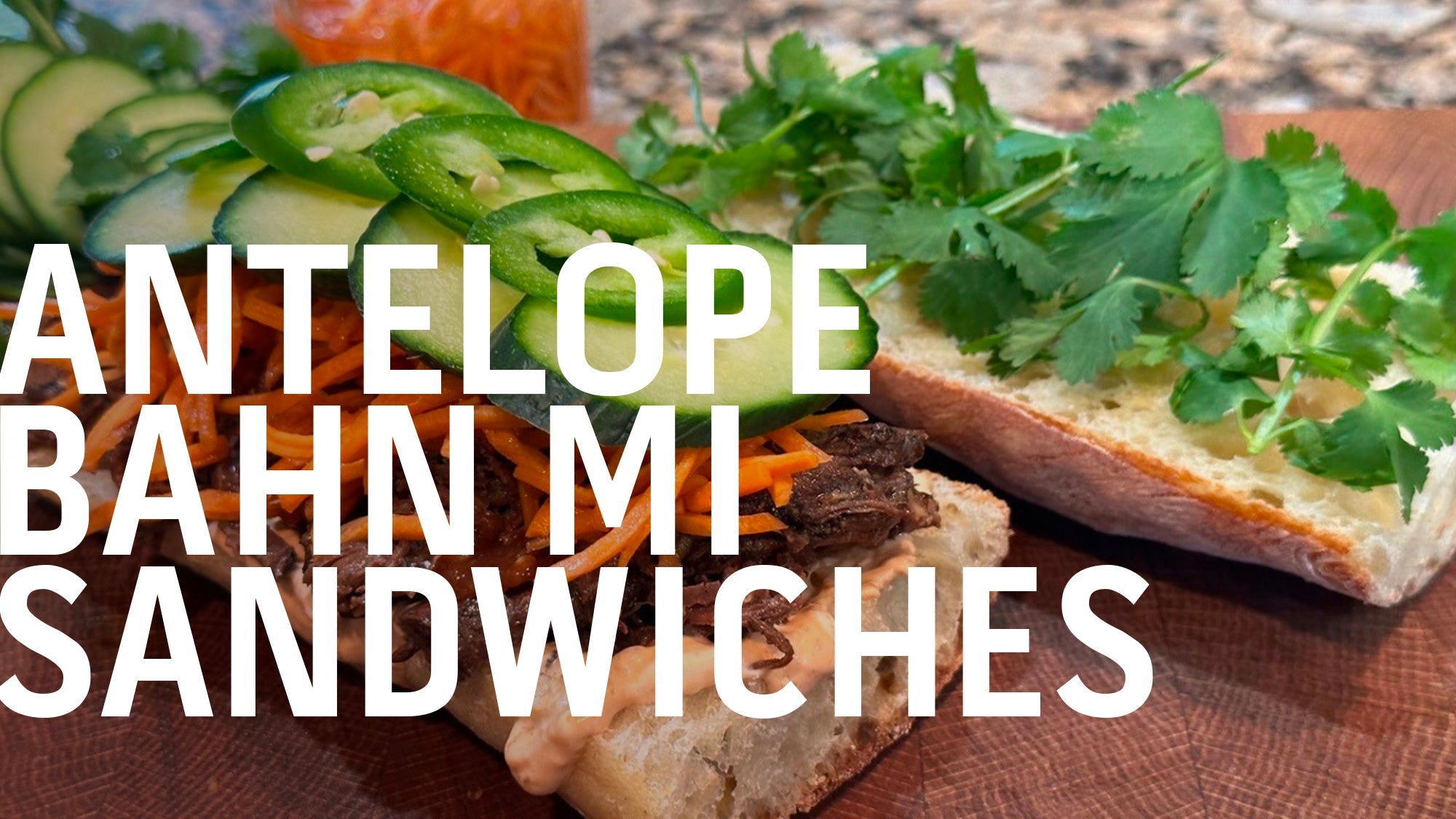 Slow cooker antelope banh mi sandwiches served on crusty bread with fresh vegetables