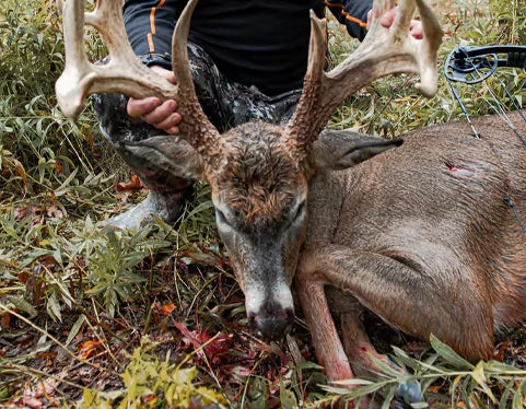 A hunter in camouflage proudly poses with a large, harvested Missouri whitetail buck in a field