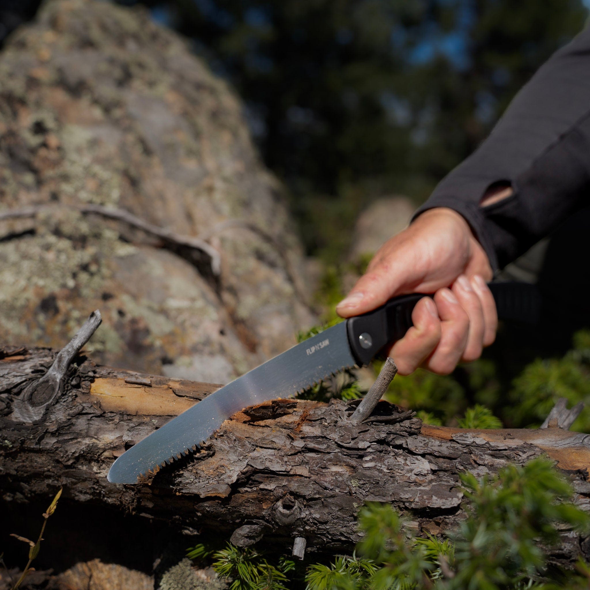 Person using a saw on a log with a natural background