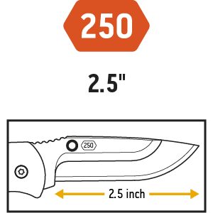 "A line-drawing illustration of a 2.5-inch drop-point knife blade, marked with '250'."