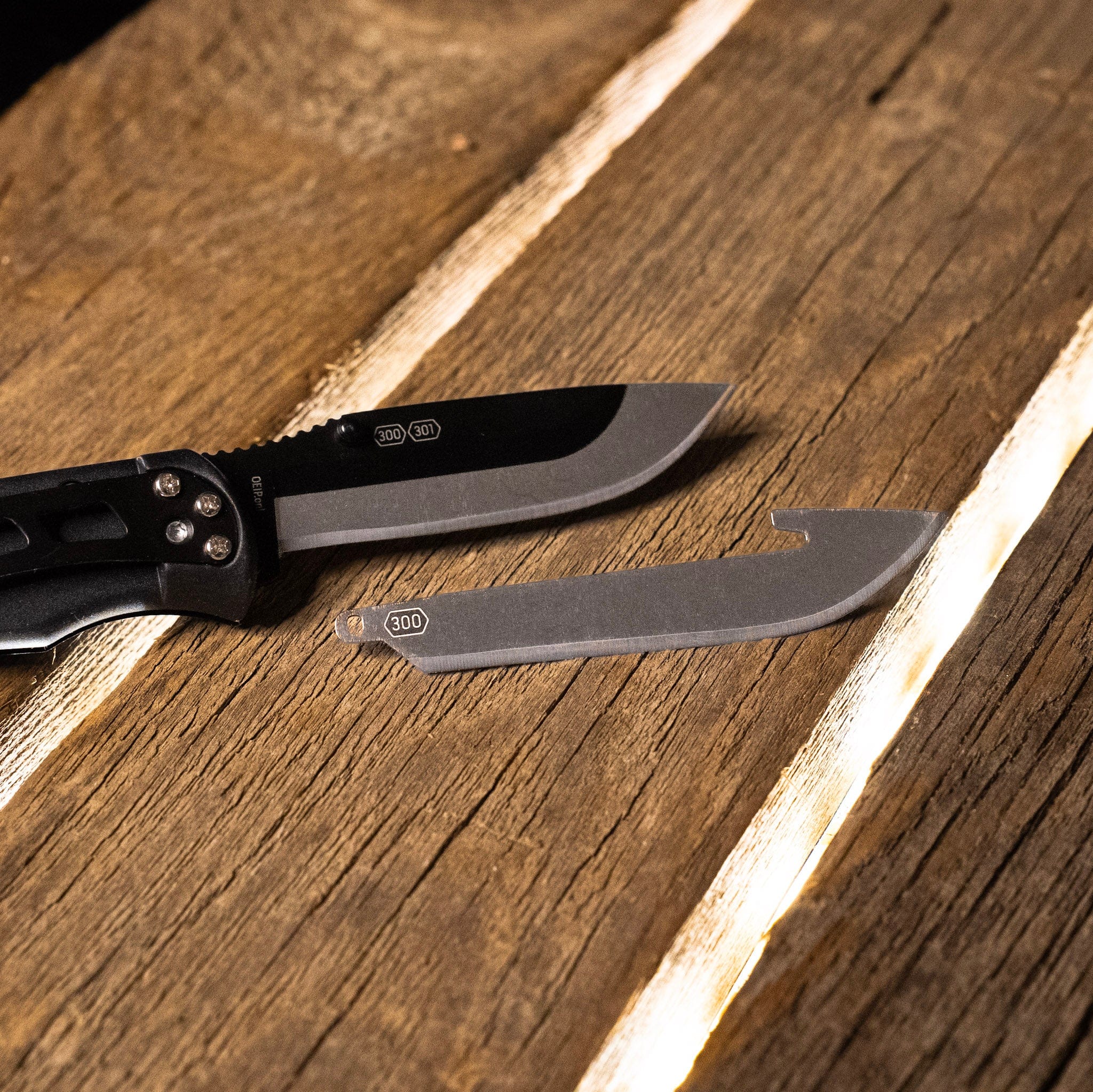 Replaceable blade carry knife with extra blade