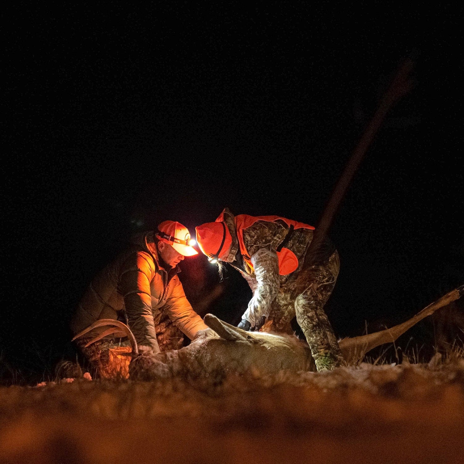 Two hunters wearing headlamps and blaze orange vests field dressing a deer at night."