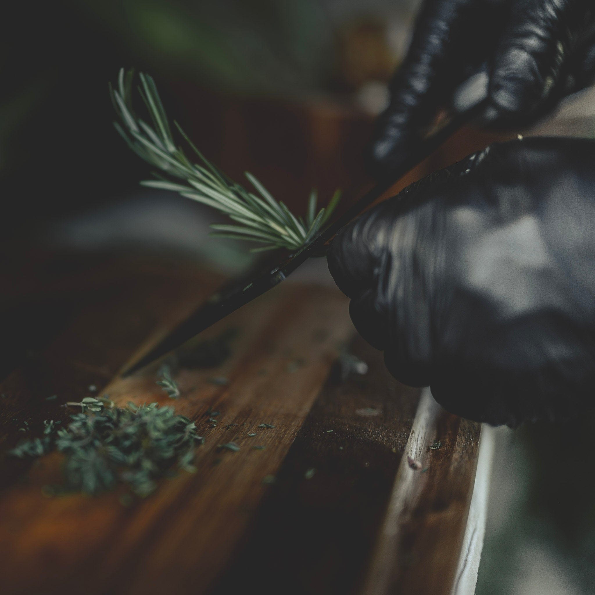 Rosemary being stripped from the stem