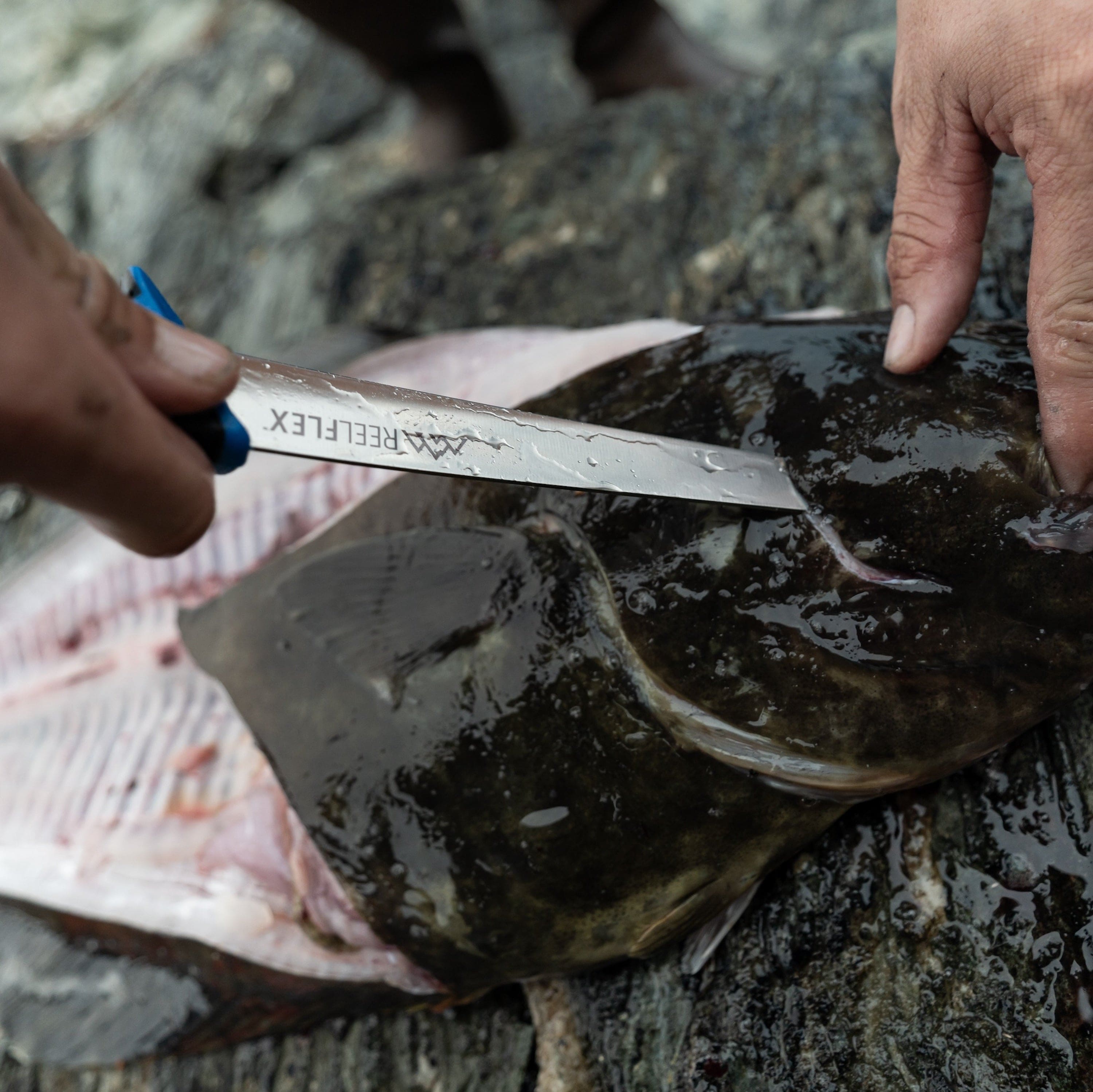 A 7.5-inch ReelFlex fillet knife shown with a freshly caught fish on a cutting board