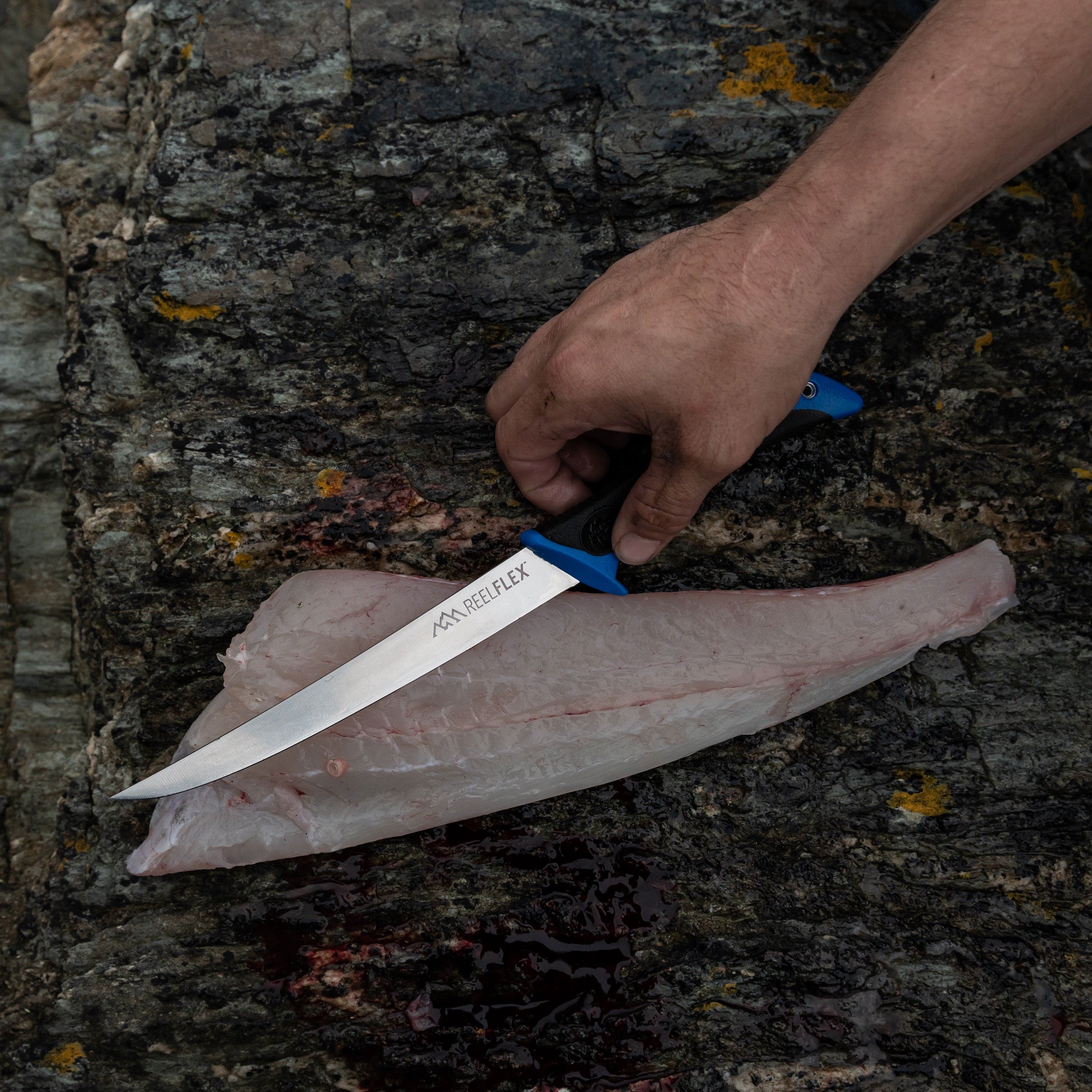 7.5" REEL FLEX FILLET KNIFE ON A SLICE OF FISH
