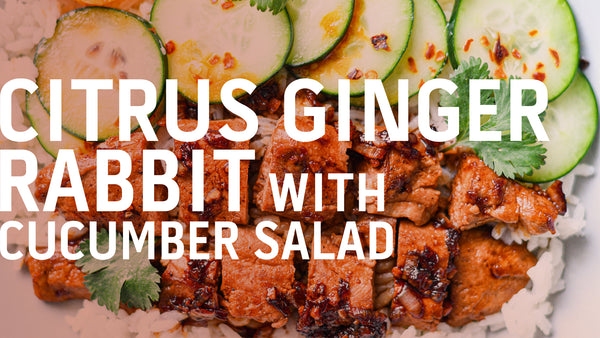 Citrus Ginger Rabbit with Cucumber Salad