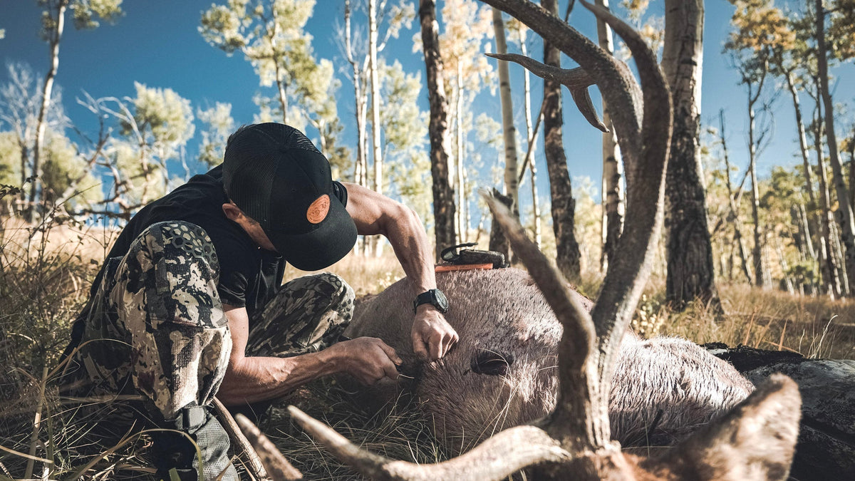 A hunter skinning an elk with an Outdoor Edge knife