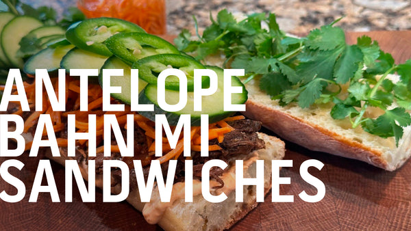 Slow Cooker Antelope Bahn Mi Sandwiches