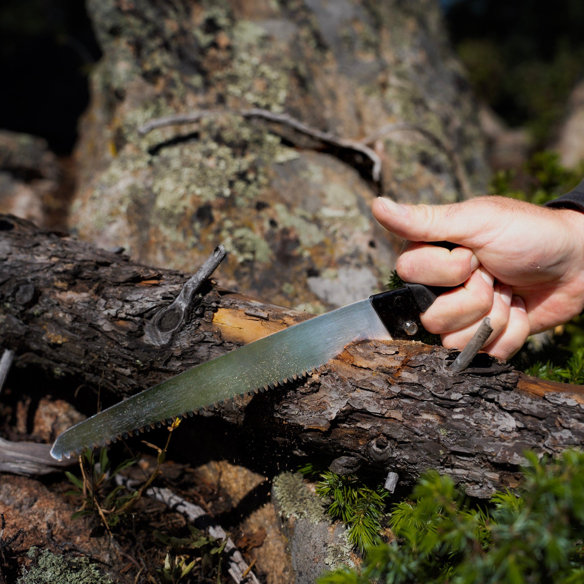 Outdoor Edge GrizSaw GW-2 – Rugged Field & Camp Saw